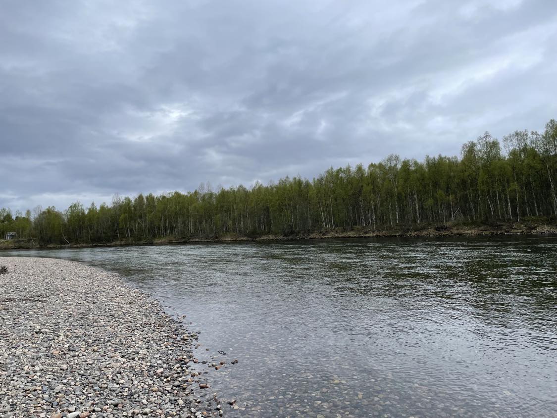 Tvillingnesøra